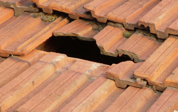 roof repair Bishopton
